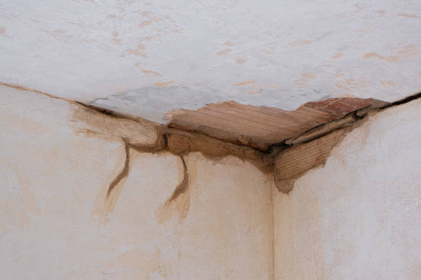 Best 24-hour water damage restoration  in Walhalla, SC