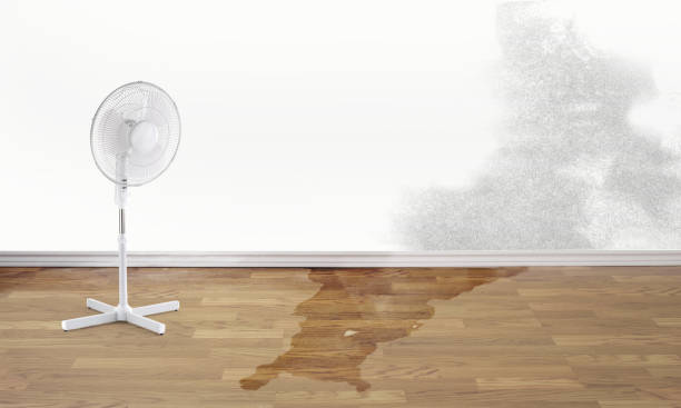Best Commercial water damage restoration  in Walhalla, SC