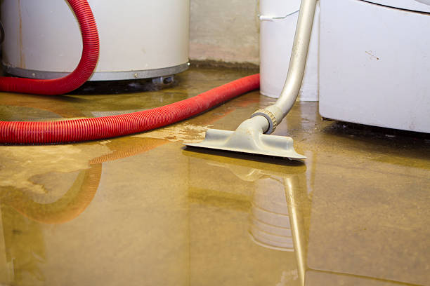 Best Residential water damage restoration  in Walhalla, SC