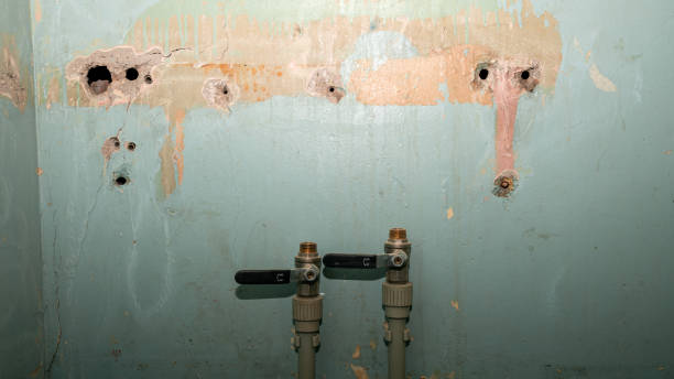 Best Flood restoration services  in Walhalla, SC