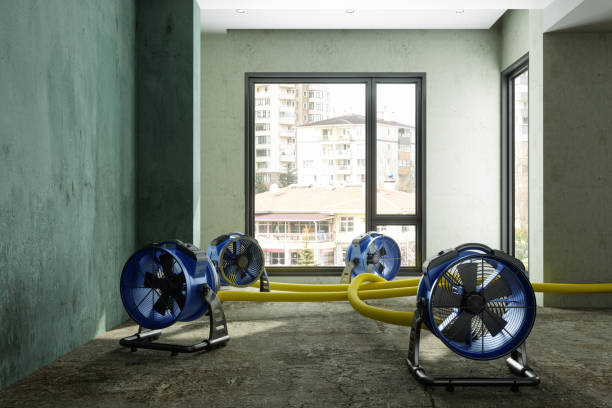 Reliable Walhalla, SC Water damage restoration Solutions
